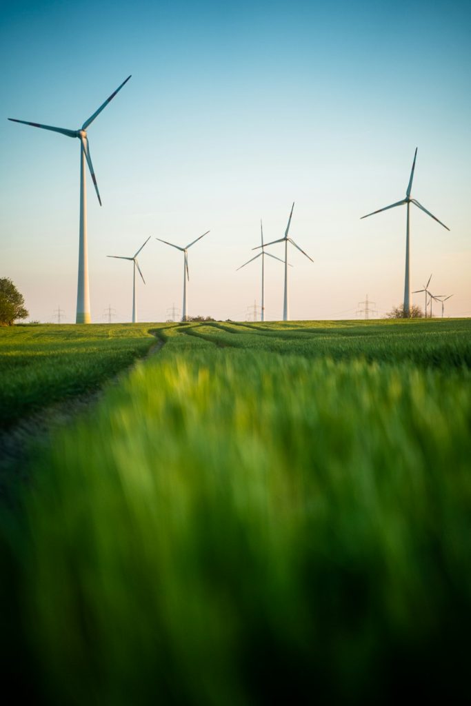 a-row-of-wind-turbines-sggfcc7wrp4 green field